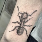 Фото пример рисунка татуировки с муравьем 21.03.2021 №149 - ant tattoo - tatufoto.com
