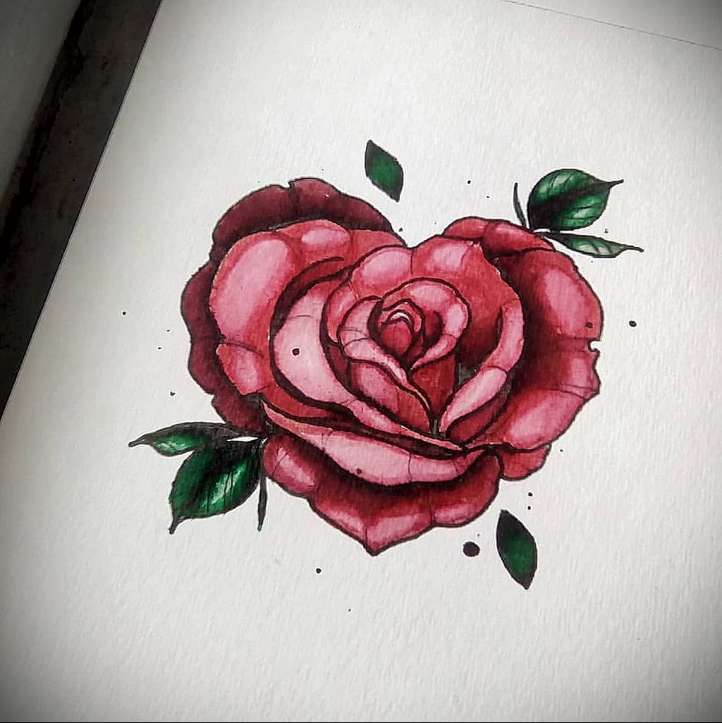 Эскиз розы в цвете