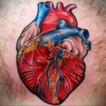 Фото тату сердце пример рисунка 09.02.2021 №0025 - heart tattoo - tatufoto.com
