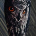 мужской рисунок тату с совой пример 15.02.2021 №0015 - owl tattoo men - tatufoto.com