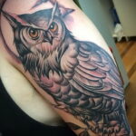 мужской рисунок тату с совой пример 15.02.2021 №0079 - owl tattoo men - tatufoto.com
