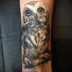 пример рисунка тату сова на руке 15.02.2021 №0017 - owl tattoo on arm - tatufoto.com