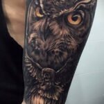 пример рисунка тату сова на руке 15.02.2021 №0040 - owl tattoo on arm - tatufoto.com