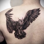 пример рисунка тату сова на спине 15.02.2021 №0001 - owl tattoo on back - tatufoto.com