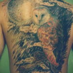 пример рисунка тату сова на спине 15.02.2021 №0030 - owl tattoo on back - tatufoto.com