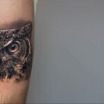 пример рисунка тату сова реализм 15.02.2021 №0049 - owl tattoo realism - tatufoto.com