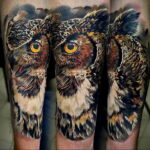 пример рисунка тату сова реализм 15.02.2021 №0080 - owl tattoo realism - tatufoto.com