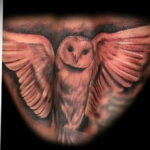 пример рисунка тату сова реализм 15.02.2021 №0123 - owl tattoo realism - tatufoto.com