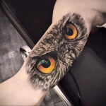 тату глаза совы пример рисунка 15.02.2021 №0017 - owl eyes tattoo - tatufoto.com