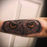 тату глаза совы пример рисунка 15.02.2021 №0025 - owl eyes tattoo - tatufoto.com