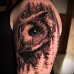 тату с черной совой на фото 15.02.2021 №0026 - black owl tattoo- tatufoto.com
