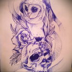 тату сова и череп пример рисунка 15.02.2021 №0026 - owl skull tattoo - tatufoto.com