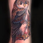 цветной рисунок татуировки с совой 15.02.2021 №0060 - owl tattoo color - tatufoto.com