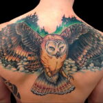 цветной рисунок татуировки с совой 15.02.2021 №0198 - owl tattoo color - tatufoto.com