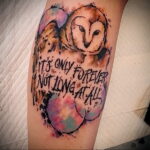 цветной рисунок татуировки с совой 15.02.2021 №0293 - owl tattoo color - tatufoto.com