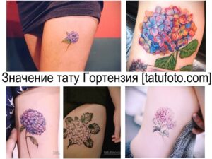 Фото тату: коллаж из нескольких фотографий татуировок гортензии, выполненных в разных стилях и размерах. Вверху надпись "Значение тату Гортензия [tatufoto.com]"