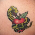 Пример тату с яблоком и змеей 03.03.2021 №008 - snake with apple tattoo - tatufoto.com