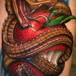 Пример тату с яблоком и змеей 03.03.2021 №014 - snake with apple tattoo - tatufoto.com