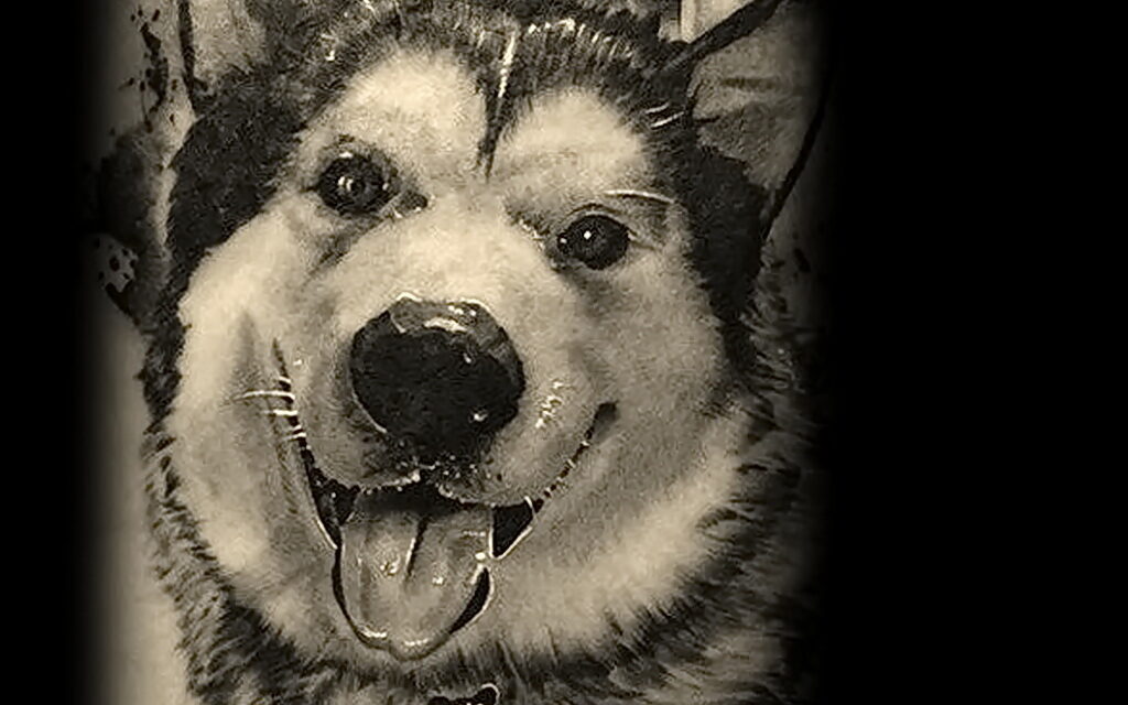 Рисунок тату с собакой породы Хаски