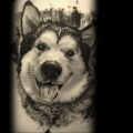 Тату с собакой породы Хаски 08.03.2021 №005 - husky tattoo - tatufoto.com