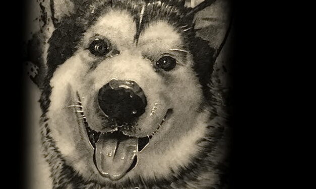 Рисунок тату с собакой породы Хаски