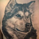 Тату с собакой породы Хаски 08.03.2021 №007 - husky tattoo - tatufoto.com
