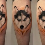 Тату с собакой породы Хаски 08.03.2021 №014 - husky tattoo - tatufoto.com