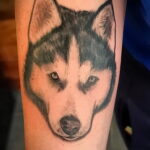 Тату с собакой породы Хаски 08.03.2021 №038 - husky tattoo - tatufoto.com