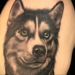 Тату с собакой породы Хаски 08.03.2021 №047 - husky tattoo - tatufoto.com