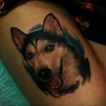 Тату с собакой породы Хаски 08.03.2021 №062 - husky tattoo - tatufoto.com