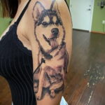 Фото Рисунка тату с собакой породы Хаски 08.03.2021 №017 - husky tattoo - tatufoto.com