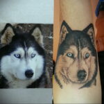 Фото Рисунка тату с собакой породы Хаски 08.03.2021 №018 - husky tattoo - tatufoto.com