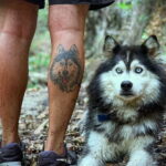 Фото Рисунка тату с собакой породы Хаски 08.03.2021 №022 - husky tattoo - tatufoto.com