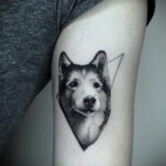 Фото Рисунка тату с собакой породы Хаски 08.03.2021 №028 - husky tattoo - tatufoto.com
