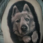 Фото Рисунка тату с собакой породы Хаски 08.03.2021 №039 - husky tattoo - tatufoto.com