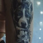 Фото Рисунка тату с собакой породы Хаски 08.03.2021 №041 - husky tattoo - tatufoto.com