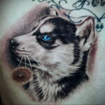 Фото Рисунка тату с собакой породы Хаски 08.03.2021 №046 - husky tattoo - tatufoto.com