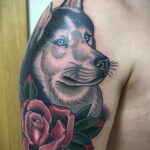 Фото татуировки хаски с розой на плече. Реалистичный рисунок татуировки с использованием ярких цветов.