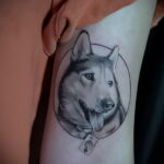 Фото Рисунка тату с собакой породы Хаски 08.03.2021 №051 - husky tattoo - tatufoto.com