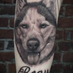 Фото Рисунка тату с собакой породы Хаски 08.03.2021 №076 - husky tattoo - tatufoto.com