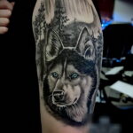 Фото Рисунка тату с собакой породы Хаски 08.03.2021 №085 - husky tattoo - tatufoto.com