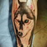 Фото Рисунка тату с собакой породы Хаски 08.03.2021 №093 - husky tattoo - tatufoto.com