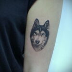 Фото Рисунка тату с собакой породы Хаски 08.03.2021 №103 - husky tattoo - tatufoto.com