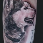 Фото Рисунка тату с собакой породы Хаски 08.03.2021 №125 - husky tattoo - tatufoto.com