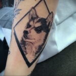 Фото Рисунка тату с собакой породы Хаски 08.03.2021 №136 - husky tattoo - tatufoto.com