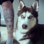 Фото Рисунка тату с собакой породы Хаски 08.03.2021 №149 - husky tattoo - tatufoto.com