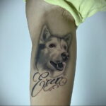 Фото Рисунка тату с собакой породы Хаски 08.03.2021 №151 - husky tattoo - tatufoto.com