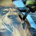 Фото Рисунка тату с собакой породы Хаски 08.03.2021 №163 - husky tattoo - tatufoto.com