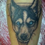 Фото Рисунка тату с собакой породы Хаски 08.03.2021 №213 - husky tattoo - tatufoto.com