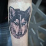 Фото Рисунка тату с собакой породы Хаски 08.03.2021 №222 - husky tattoo - tatufoto.com